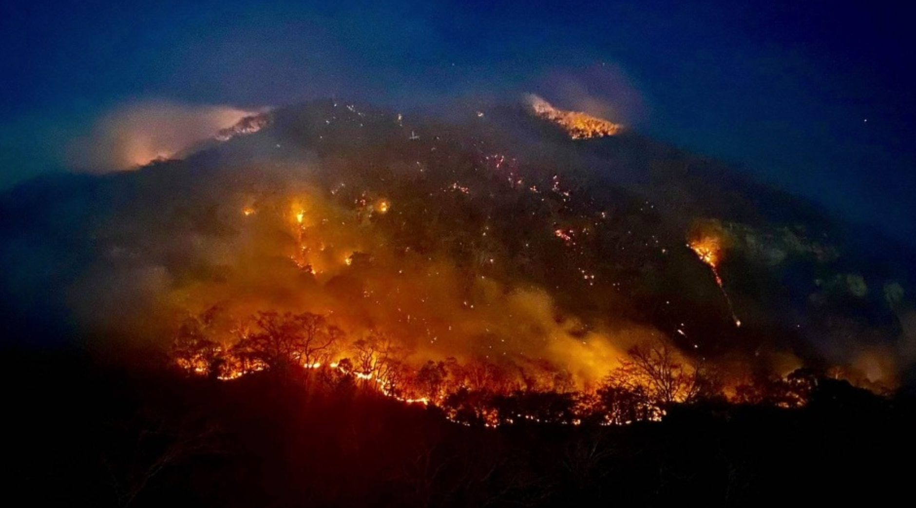 López Obrador no descarta que incendios sean provocados por inmobiliarias